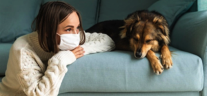 Чем будут отличаться ограничения 