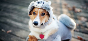 Будь в курсе: какая погода ждет киевлян на этих выходных