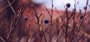 Афиша Харькова: какие мероприятия пройдут на этой неделе (6-12 декабря)