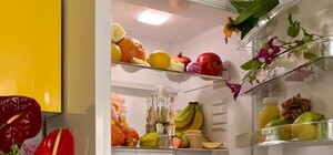 Фотографию холодильника днепрянки показали в лондонском художественном музее 