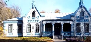 Как выглядит уникальный особняк Бергманов на Днепропетровщине (видео)