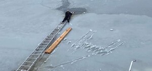 У Червонограді чоловік, ризикуючи життям, врятував собаку, який провалився під лід