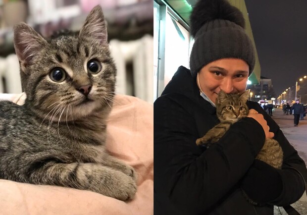 Котенок, которого спасли в харьковском метро, нашел хозяев. 