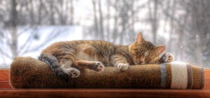 На выходных в Одессе обещают холодную погоду