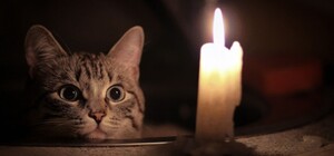 В домах на 72-х улицах Харькова отключат свет во вторник, 21 декабря