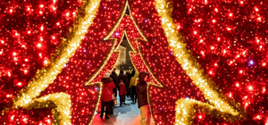 В центре Харькова появилась новая новогодняя фотозона (видео)