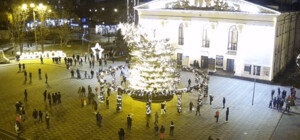 Рухнувшую в Мариуполе елку делали в Одессе