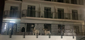 На Фонтане ловили двух алабаев, которые покусали людей: их усыпили транквилизаторами