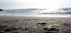 В Одесской области водитель слил нефтепродукты на землю