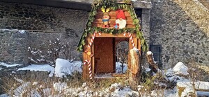 В Киеве в зоопарке тиграм подарили к Новому году декоративные домики