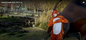 В образе тигра: директор одесского зоопарка выпустил новогодний клип