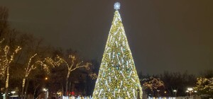 Как в Запорожье выглядят новогодние локации и елки (видео)