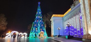 Главную елку Одессы признали одной из самых красивых в Украине