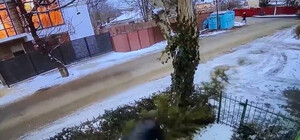 В Одессе мужчина срезал елку прямо под окнами людей (видео)