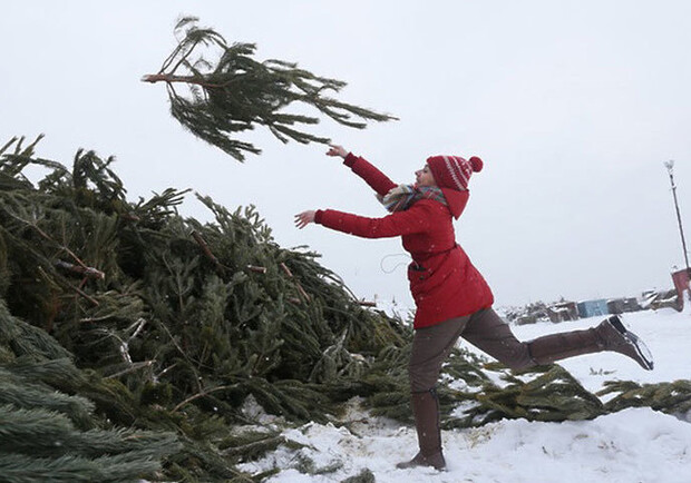 Харьковчане могут отдать новогодние елки на корм животным. 