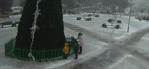 Полиция нашла женщину, которая разодрала главную елку в Васильевке