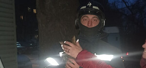 В Одессе спасатели пришли на помощь двум котам