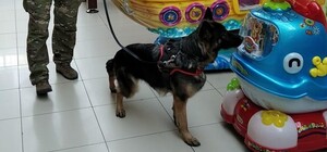 В Харькове искали взрывчатку в 42 ТРЦ и 191 школе: эвакуировали почти 5 000 учеников