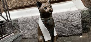 В Одессе на Екатерининской украли кота-джентльмена