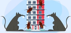 Жители многоэтажки на Оболони жалуются на нашествие мышей и тараканов