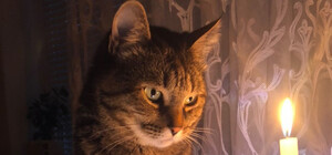 Завтра одесситам снова отключат свет (адреса)