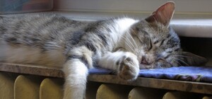 Космические счета за отопление в Одессе: в горсовете обещают помочь