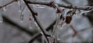  Прогноз погоды в Одессе на выходных 22 и 23 января