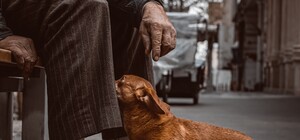 З 1 березня в Україні зростуть пенсії та соціальні виплати – кому пощастить 