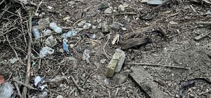 Сквер имени Жанны Лябурб превращается в стихийную свалку