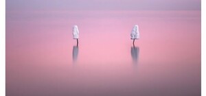 The Times опубликовало фото одесского Куяльника 