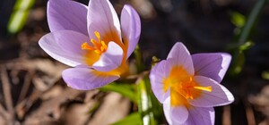 Скільки вихідних матимуть українці у лютому 2022 року