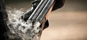 В Харькове мужчина застрелил домашнего пса в чужом дворе