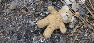 Лежала п'яною на вулиці біля 4-річного сина: суд оштрафував львів'янку