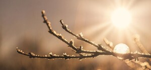 Какая погода будет в Одессе на выходных 5 и 6 февраля