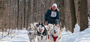 В Харькове прошли соревнования по езде на собачьих упряжках (фото, видео)