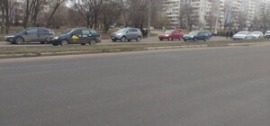 В Запорожье на Набережной из-за сбитой собаки образовалась пробка