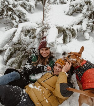Notre Dame de Paris Le Concert и 