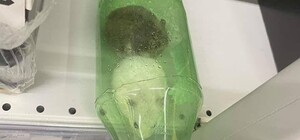 В гипермаркете на Троещине возле кошачьего корма нашли бутылку с хомяками