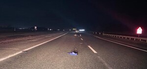 Недавно вышел на свободу: установлена личность погибшего в ДТП с кортежем Ярославского