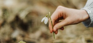 На выходных в Одессу придет весна: прогноз погоды