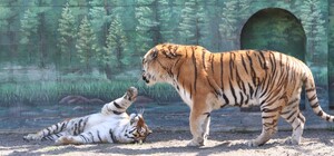 В Одесском зоопарке выбрали самую романтическую пару животных (фото)