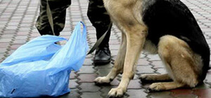 В одній із львівських шкіл виявили підозрілий пакет – у закладі працюють правоохоронці