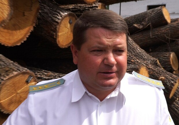 Колишньому директору Гутянського лісгоспу Віктору Сисі ухвалили вирок. 