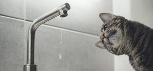 Часть Харькова без воды: поврежденные линии энергоснабжения насосных станций