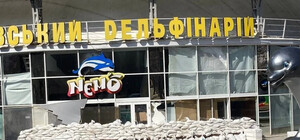 З Харкова до Одеси привезуть дельфінів, морських левів та котиків