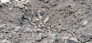 На Дніпропетровщині окупанти вдарили у свинокомплекс