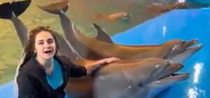 В Одеському 