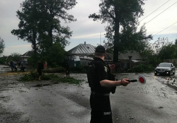 Под Харьковом пронесся ураган: повалил деревья и столбы. 
