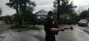 Под Харьковом пронесся ураган: повалил деревья и столбы (фото)