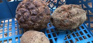 Біля житлового будинку на Личакові знайшли боєприпаси